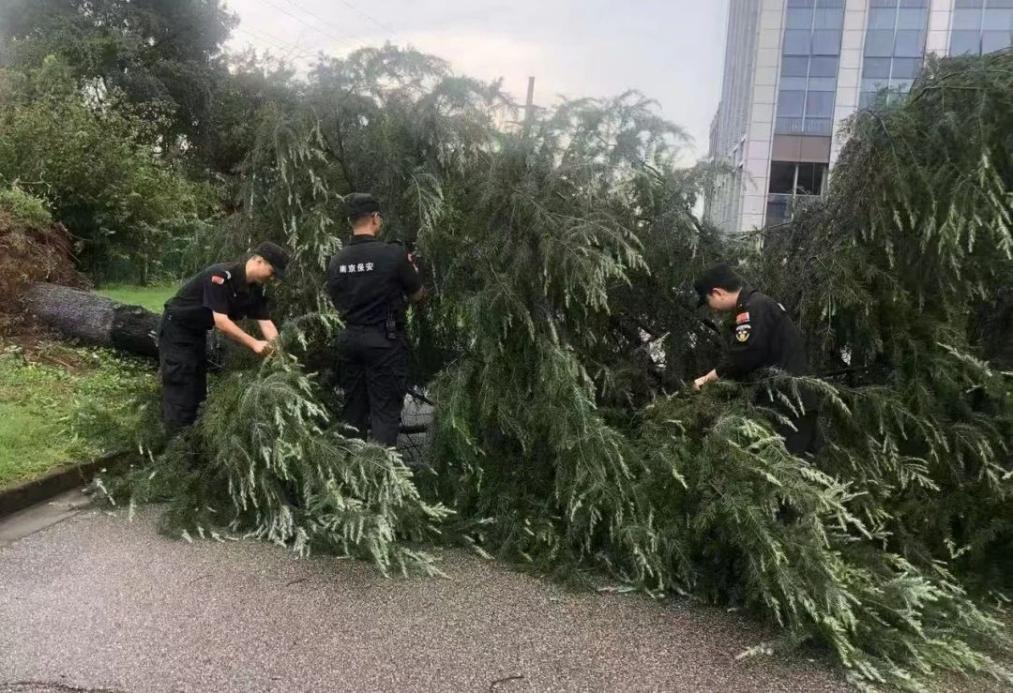 C:/Users/BA/Desktop/風雨過后南京保安迅速行動，恢復安“寧”面貌/1.jpg1