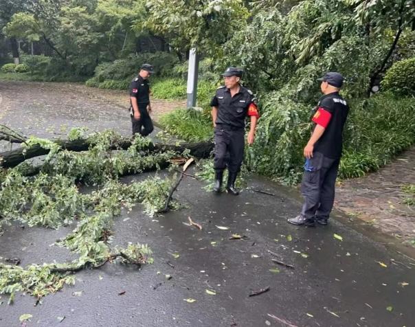 C:/Users/BA/Desktop/風雨過后南京保安迅速行動，恢復安“寧”面貌/7.jpg7